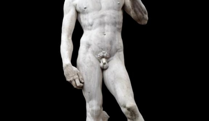 David di Michelangelo suite